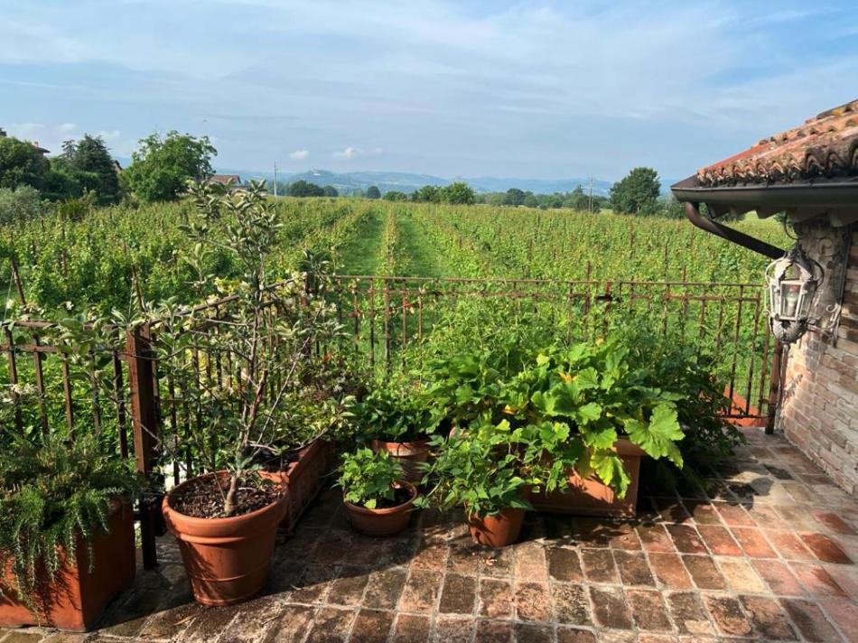 Casale Hortensia Ρέτζιο Εμίλια Εξωτερικό φωτογραφία